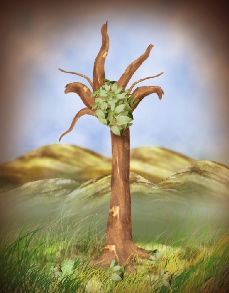 Creation of Tree: Step 13
